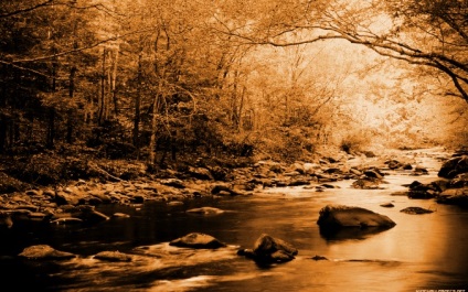 Efectul „sepia“ pentru fotografii (3 metode) (foto) Efectul „sepia“ pentru fotografie (3 moduri)
