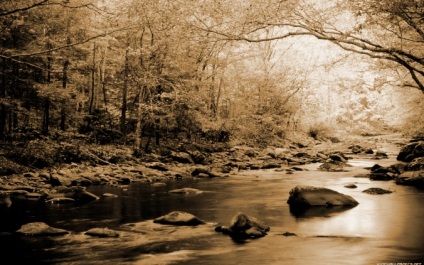 Efectul Efectul „sepia“ pentru fotografie (3 moduri)