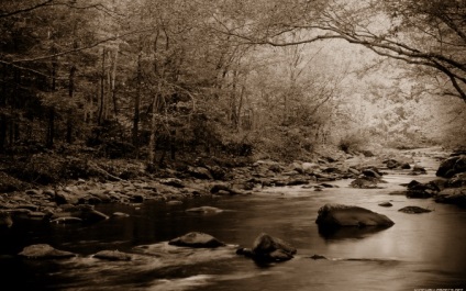 Efectul Efectul „sepia“ pentru fotografie (3 moduri)