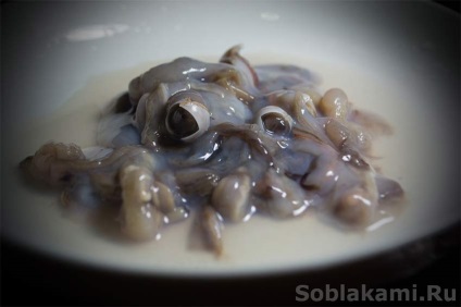 fructe de mare exotice cum de a alege și de modul în care să se pregătească (pentru a alege) fructe de mare exotice cum de a alege și de modul în care să se pregătească