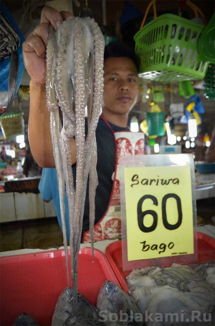 fructe de mare exotice cum să selecteze și cum să gătească (fructe de mare) fructe de mare exotice cum de a alege și de modul în care să se pregătească