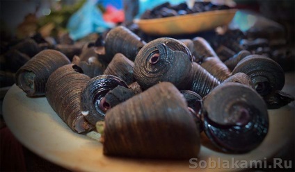 fructe de mare exotice cum să selecteze și cum să gătească (alge) fructe de mare exotice cum de a alege și de modul în care să se pregătească