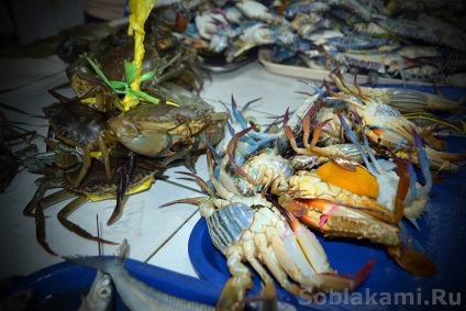 fructe de mare exotice cum să selecteze și cum să gătească (alge) fructe de mare exotice cum de a alege și de modul în care să se pregătească