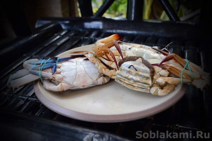 fructe de mare exotice cum să selecteze și cum să gătească (fructe de mare gătit) fructe de mare exotice cum de a alege și de modul în care să se pregătească