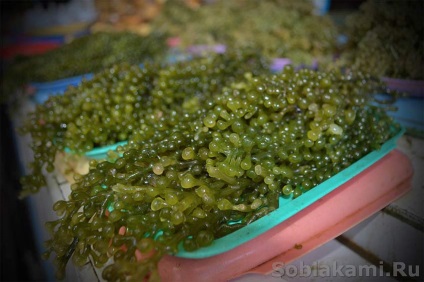fructe de mare exotice cum să selecteze și cum să gătească (crabi) fructe de mare exotice cum de a alege și de modul în care să se pregătească