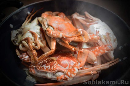 fructe de mare exotice cum să selecteze și cum să gătească (fructe de mare) fructe de mare exotice cum de a alege și de modul în care să se pregătească