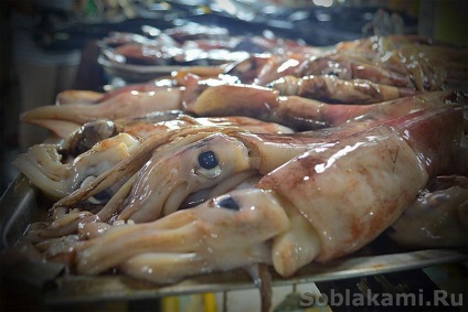 fructe de mare exotice cum să selecteze și cum să gătești (saramură) fructe de mare exotice cum de a alege și de modul în care să se pregătească