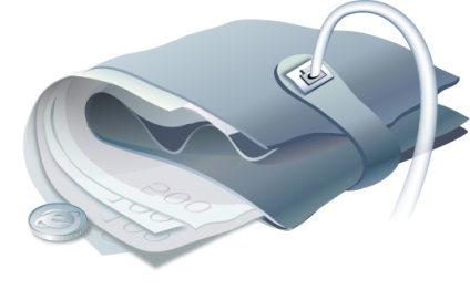 portofel electronic (e-mail) pungă electronice