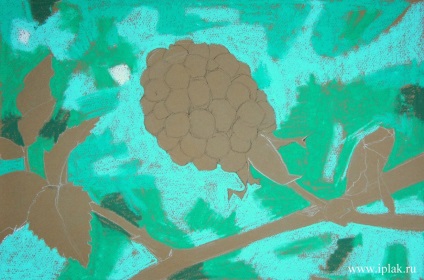 Blackberry, pastel (frumusete) Mure, pastel