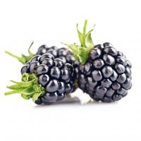 Blackberry - avantaje și prejudicii (utilizare) Blackberry - avantaje și prejudicii