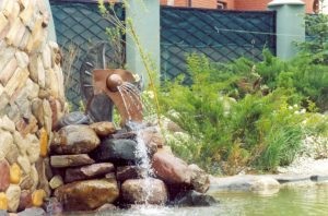 Fântâna cu mâinile lor - 68 de fotografii de opțiuni de casă și ornamentele lor (lor) Fântâna cu mâinile lor - 68 de fotografii de opțiuni de casă și ornamente lor