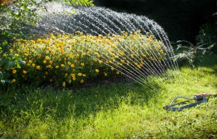 Fântâna cu mâinile lor - 68 de fotografii de opțiuni de casă și decorațiuni lor (mâini) Fântâna cu mâinile lor - 68 de fotografii de opțiuni de casă și ornamente lor