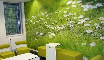 imprimare foto pe tapet în interior (foto) (idee) imprimare foto pe tapet în interior (foto)