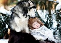 Fotografii din Husky (UPDATE) Photoshoot cu Husky
