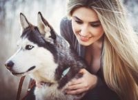 Fotografii din Husky (UPDATE) Photoshoot cu Husky