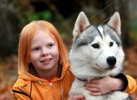 Fotografii din Husky (UPDATE) Photoshoot cu Husky