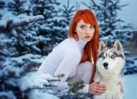 Fotografii din Husky (Husky) Photoshoot cu Husky