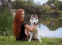 Fotografii din Husky (Husky) Photoshoot cu Husky