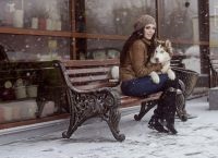 Fotografii din Husky (UPDATE) Photoshoot cu Husky
