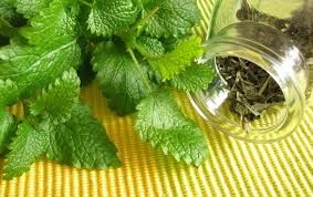 Cauze de tratament pentru copii Herpes Corp (herpes) copii Herpes tratamente corporale, cauze