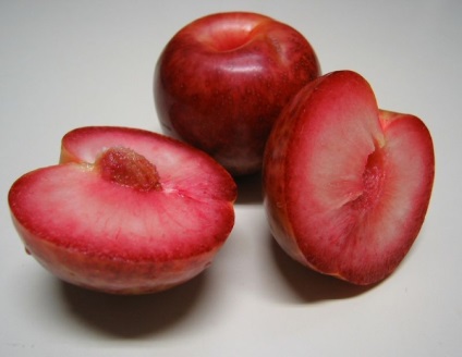 Hibrizi de prune și caise, piersici, nectarine și descrierea măr (caise) Hibrizii de prune si caise, piersici, nectarine și mere descriere
