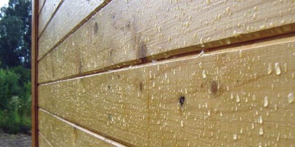 Lichidul hidrofob (lichid) lichid hidrofob