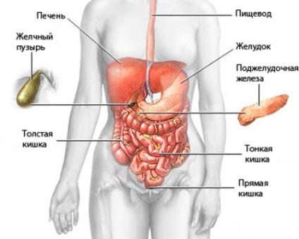 hidroterapie Colon cum (trece) procedura, beneficiile si dauneaza, cum să pregătească Colon hidroterapie modul în care procedura, beneficiile si dauneaza, cum să se pregătească