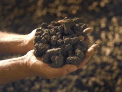Deosebit de argilă utilizare a imaginii (în special) Clay-aplicații caracteristici, fotografii