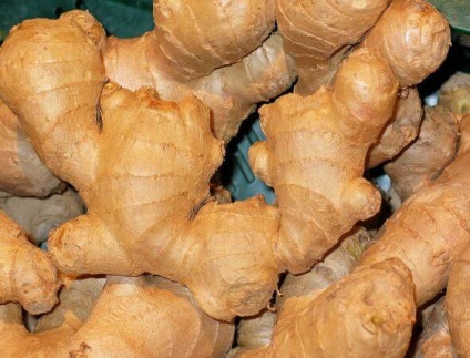 Ginger - proprietăți benefice pentru sănătate, pohudeyka (folosiți următoarea rețetă) Ginger - proprietăți benefice pentru sănătate, pohudeyka