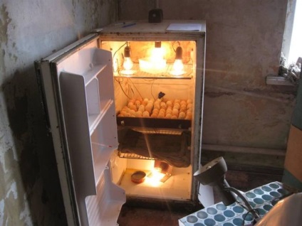 Incubator cu mâinile lor de casă din frigider, cum să faci o spumă, automat (incubator) Incubator cu mâinile lor de casă din frigider, cum să faci o spumă, automată