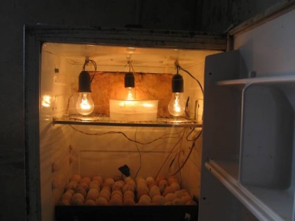 Incubator cu mâinile lor de casă din frigider, cum să faci o spumă, automat (do) Incubator cu mâinile lor de casă din frigider, cum să faci o spumă, automată