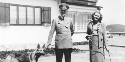Interesant despre Hitler (Hitler) fapte interesante despre Hitler