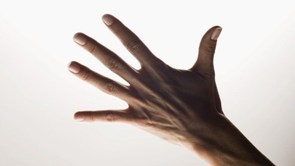 Interesant ambele sunt numite degete (degete) Interesant ambele sunt numite degete