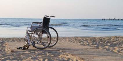 țară pentru persoanele cu handicap (construit Rosstat) dizabilitatea țării