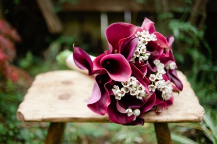 calla Istoric (on-line magazin de flori) istoricul calla