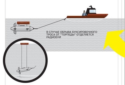 Cum funcționează (este viu compartiment) Cum funcționează