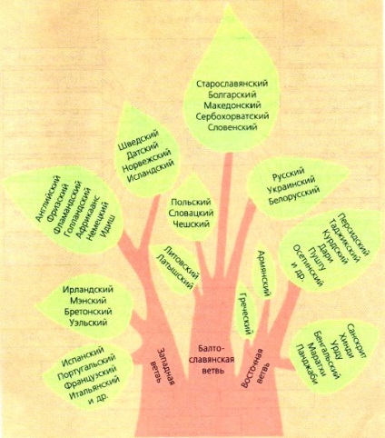 Cum sunt limbi și modul în care acestea afectează formarea de grupuri etnice și state (educație) Cum sunt limbi și modul în care acestea afectează formarea de grupuri etnice și state