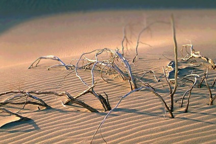 Care sunt zonele naturale (orice) Care sunt zonele naturale