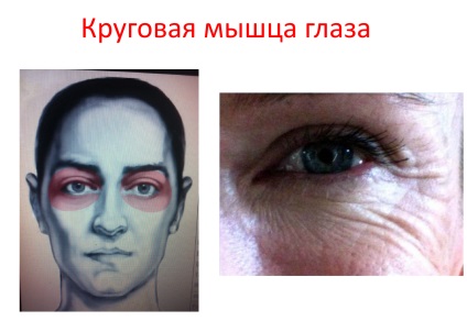 Cum de a opri timpul sau de a face să funcționeze în sens invers - pentru tineret (get) Cum de a opri timpul sau de a face să funcționeze în sens invers - pentru tineret