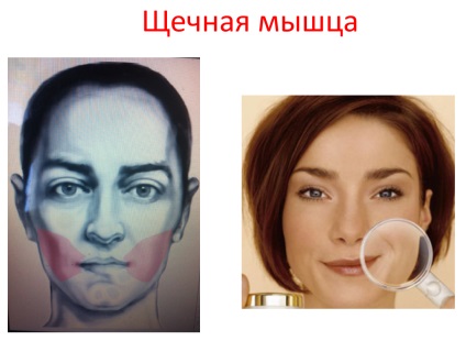 Cum de a opri timpul sau de a face să funcționeze în sens invers - pentru tineret (tineret) Cum de a opri timpul sau de a face să funcționeze în sens invers - pentru tineret