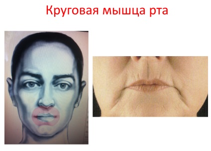 Cum de a opri timpul sau de a face să funcționeze în sens invers - pentru tineret (get) Cum de a opri timpul sau de a face să funcționeze în sens invers - pentru tineret