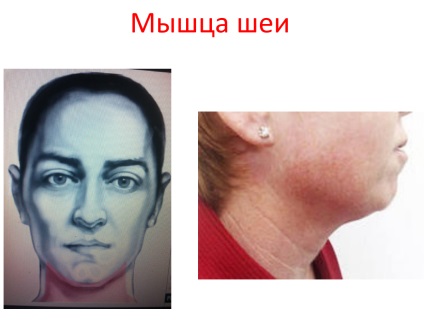 Cum de a opri timpul sau de a face să funcționeze în sens invers - pentru tineret (oprire) Cum de a opri timpul sau de a face să funcționeze în sens invers - pentru tineret