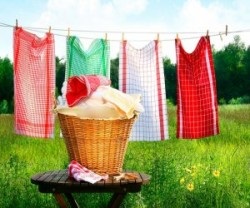 Cum se spală prosoape de bucătărie (bucătărie) Cum să se spele dishcloths