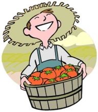 Cum de a recolta (recolta) Cum de a recolta în mod corespunzător