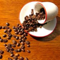 Cum se prepara cafea (preparată) Cum să fiarbă cafeaua în mod corespunzător