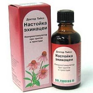 Cum sa faci o tinctura de echinacea (cantitatea de nutrienți) Cum de a face o tinctura de echinacea