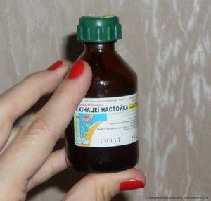 Cum sa faci o tinctura de echinacea (ia) Cum de a face o tinctura de echinacea