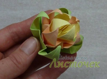 Cum Kusudama - frunze de crin (crin) Cum Kusudama - frunze de crin