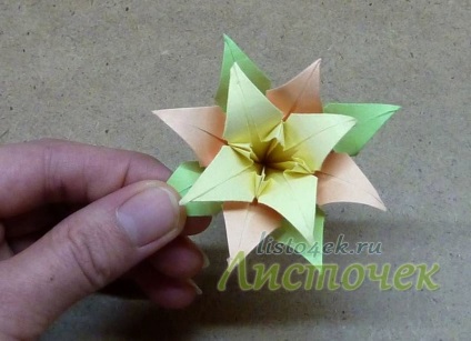 Cum Kusudama - frunze de crin (crin) Cum Kusudama - frunze de crin