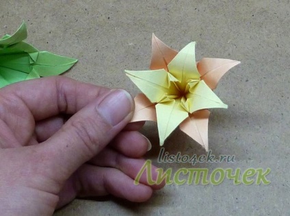 Cum Kusudama - frunze de crin (do) Cum Kusudama - frunze de crin